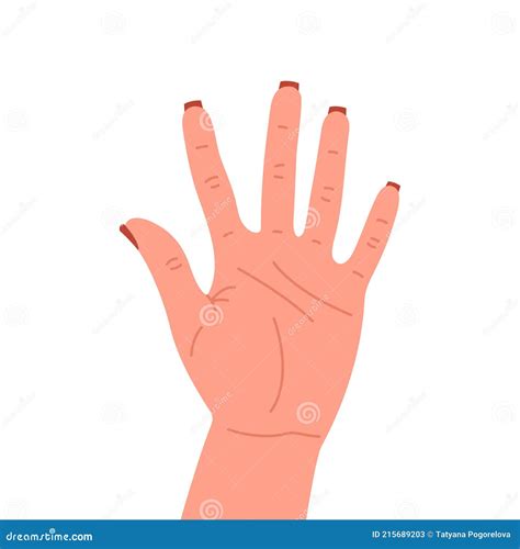 Counting Fingers Cartoon Vector | CartoonDealer.com #10590205