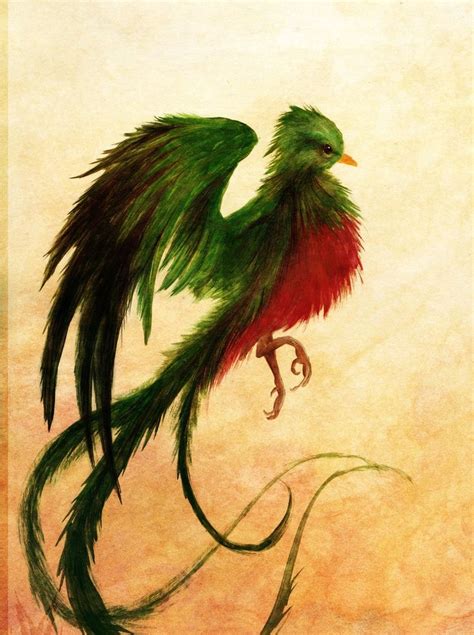 Quetzal Drawing at GetDrawings | Free download