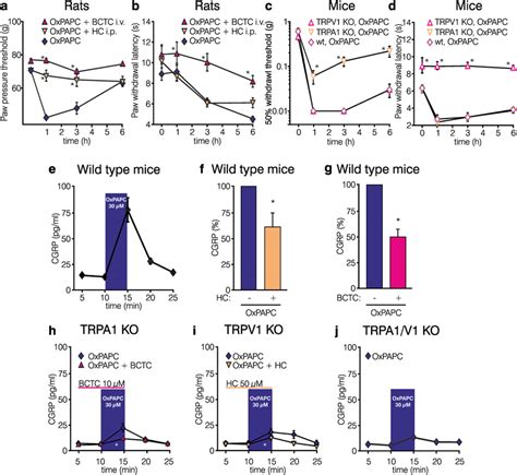 The TRP Ion Channels TRPA1 And TRPV1 Mediate OxPAPC Induced