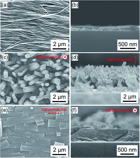 Sem Images Top And Cross Sectional Views Of The Oriented Cu Oh 2