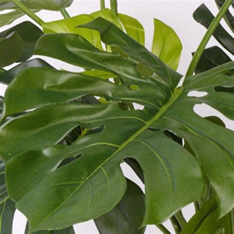 Kunstplant Monstera Deliciosa Officetopper