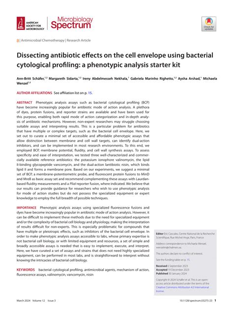 Pdf Dissecting Antibiotic Effects On The Cell Envelope Using