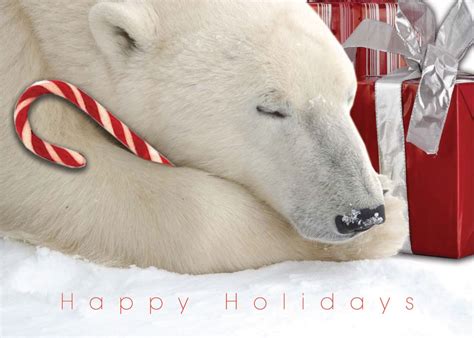 Sweet Dreams Polar Bear Christmas Card Lacasa Printing Business