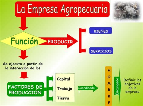 Contabilidad Agropecuaria Contabilidad Agropecuaria