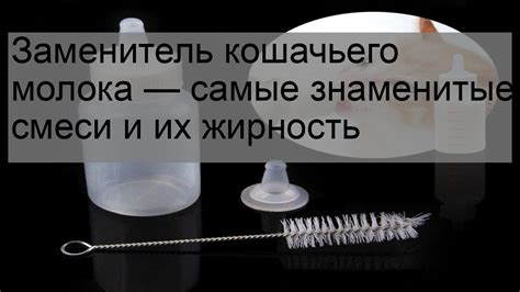 Заменитель кошачьего молока — самые знаменитые смеси и их жирность ...
