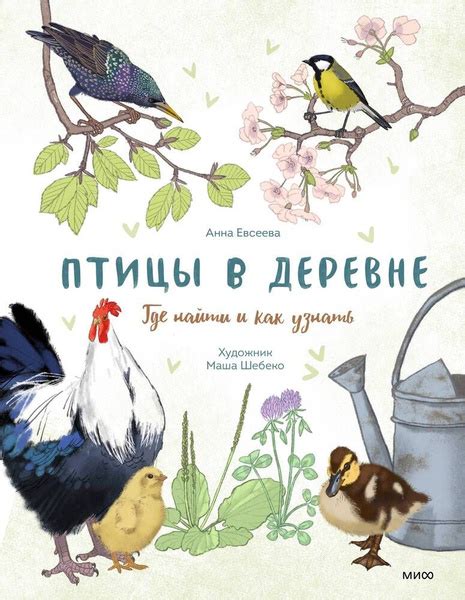 Птицы в деревне. Где найти и как узнать - купить с доставкой по ...
