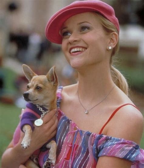 26 Best Legally Blonde Quotes Sarah Scoop