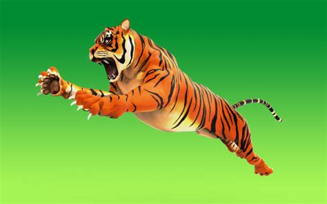 Tiger Jumping Stock Photos, Pictures & Royalty-Free Images - iStock