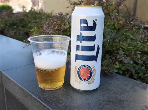 9 Best Tall Boy Beer Brands To Try in 2023