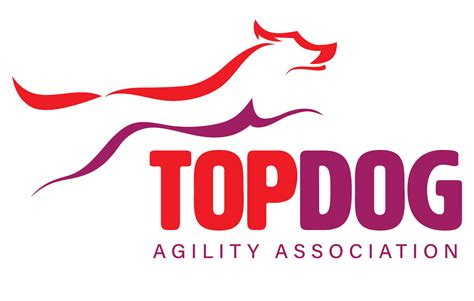 Top Dog Agility Logo Grace By Design