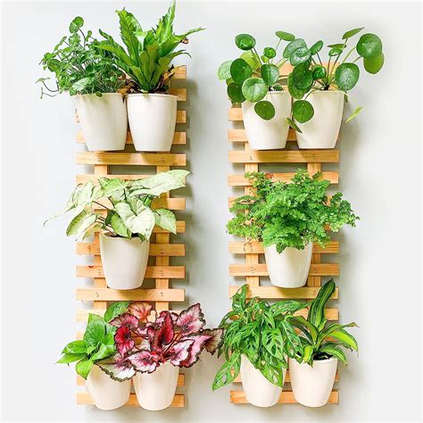 Amazon Shoplala Wooden Wall Planter Pack Wall Hanging