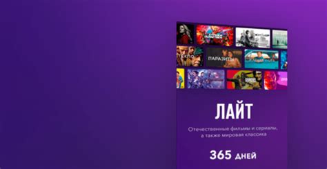 Что входит в подписку Окко: описание и особенности тематических тарифов