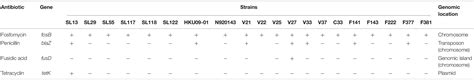 Frontiers Comparative Genome Analysis Of Staphylococcus Lugdunensis