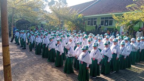 Masa Ta Aruf Siswa Madrasah Matsama Min Jember Min Jember