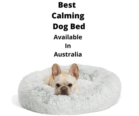 The 7 Best Calming Dog Beds Australia Tested And Evaluated 2023