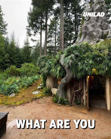 Ladbible Video Hub You Can Now Visit Shreks Swamp House In Real Life