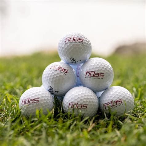 Fidas Salzburg: Controlling