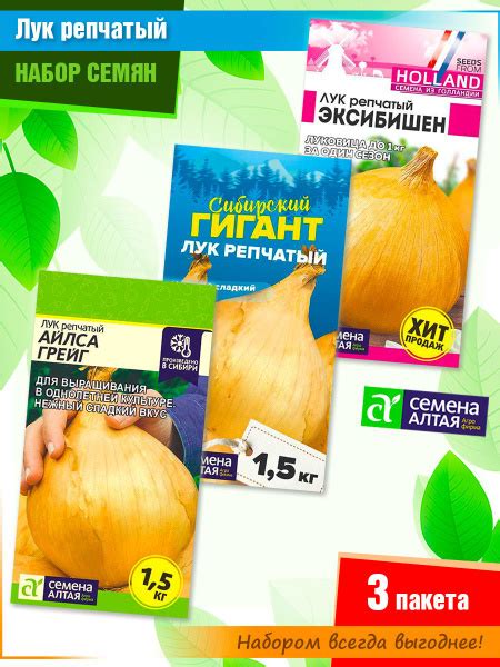 Лук Семена Алтая Лук репчатый - купить по выгодным ценам в интернет ...