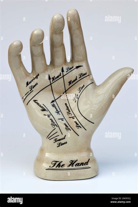 Palmistry Hand Hi Res Stock Photography And Images Alamy