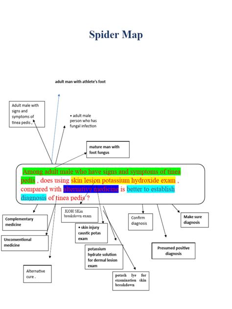 Spider Map | PDF