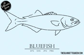 Bluefish Hand Sketched Hand Drawn Vector Clipart By The Silhouette Queen