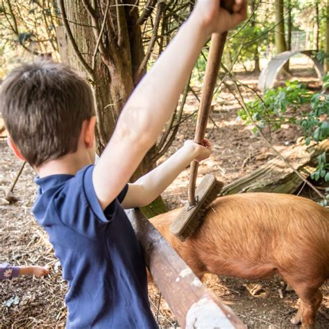 Experience Nature's Magic at Windmill Farm - Windmill Farm Park