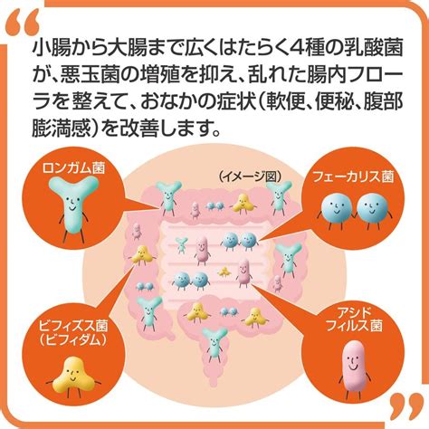 大正製薬 新ビオフェルミンsプラス錠 360錠 40日分 指定医薬部外品 整腸剤 乳酸菌ビフィズス菌 配合 腸内フローラ改善 便秘や