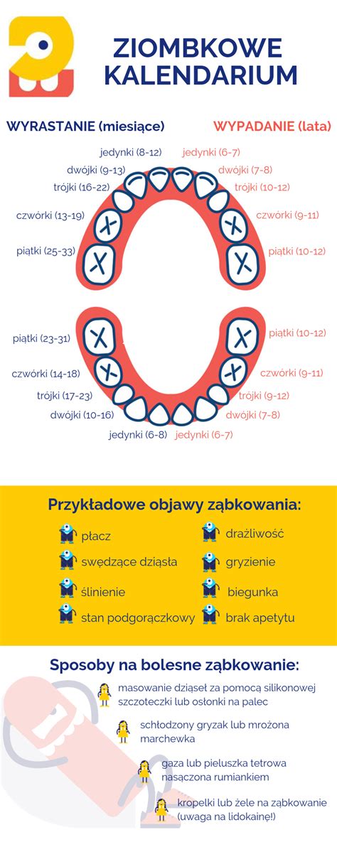 Ząbkowanie objawy i sprawdzone sposoby na ból Ziombki