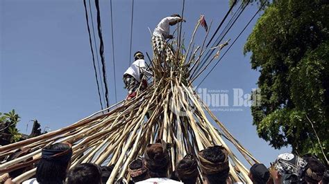 Tradisi Yang Dilakukan Umat Hindu Di Bali Saat Hari Raya Galungan Dan