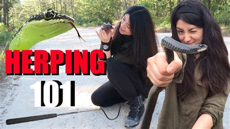 How To Find Snakes Herping For Beginners Youtube