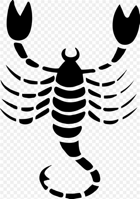 Scorpion Astrological Sign Zodiac Clip Art Png X Px Scorpion