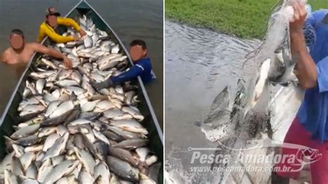 Pma Multa Em R Mil Grupo Que Filmou Kg De Pescado Ilegal No