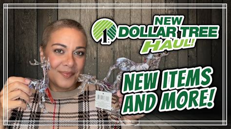 New Dollar Tree Haul New Exciting Finds 92423 Youtube