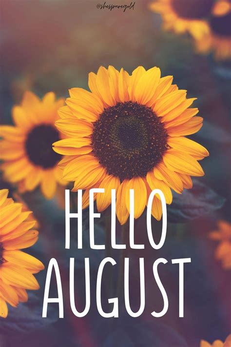 Hello August Wallpapers - Top Free Hello August Backgrounds ...