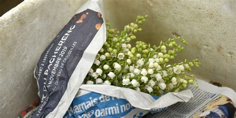 Pourquoi Offre T On Du Muguet Le Er Mai