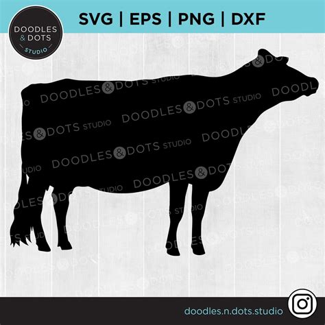 Jersey Cow SVG Cow SVG Cattle Show Dairy Cow Cut File for Cricut ...