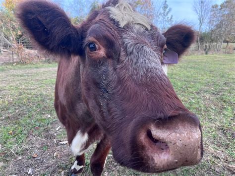 Kennard c kobrin case results are impacting medical law 29