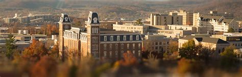 shaping  university  provosts office office   provost