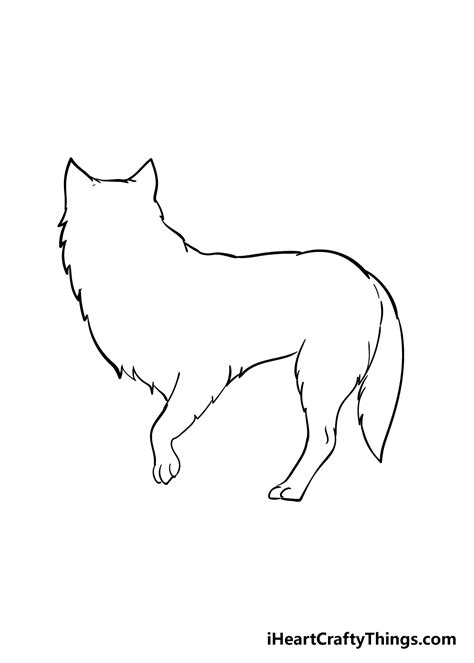 Fox Drawing Outline