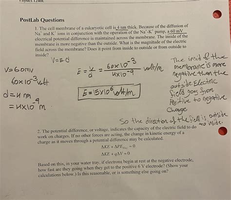 Solved PostLab Questions 1 The Cell Membrane Of A Chegg