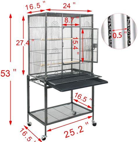 Best Cage For Parrotlets - Parrot Website