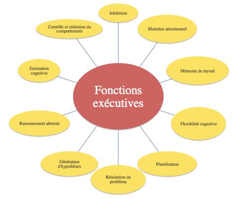 Les fonctions exécutives Site de psyenfanceado