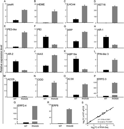 The genes selected from RNA sequencing were validated by RT-qPCR. (A-C ...
