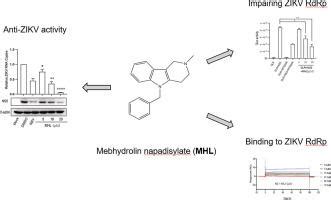 Repurposing of the antihistamine mebhydrolin napadisylate for treatment ...