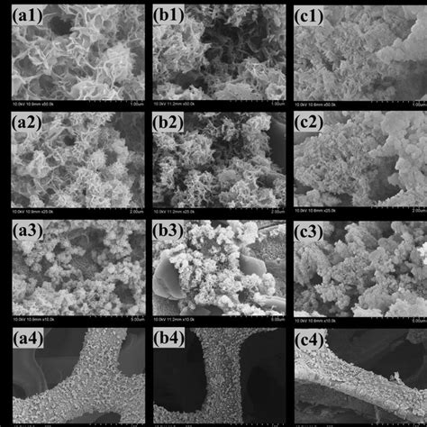 Field Emission Scanning Electron Microscope Of A1 A4 Mfs 10 B1 B4