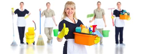 basic cleaning propercarecomau