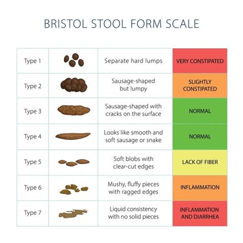 Bristol Stool M S De Ilustraciones Y Dibujos De Stock Con Licencia