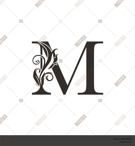 Monogram Luxury Vector Photo Free Trial Bigstock