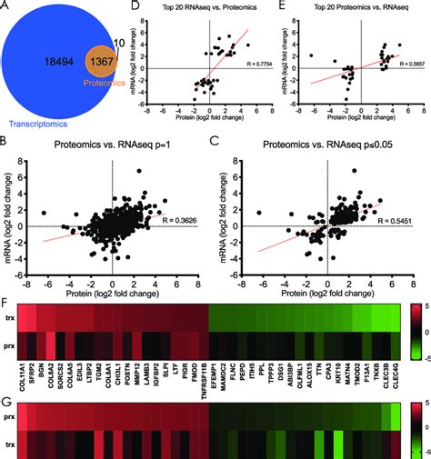 Comparison Of Proteomic And Transcriptomic Profiling Of Stromal