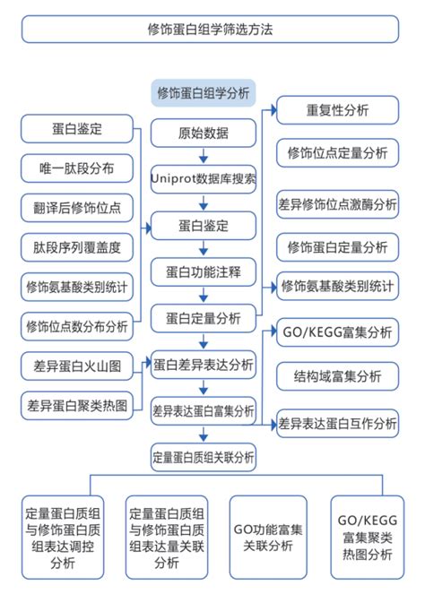 外泌体测序服务 华然腾创生物科技